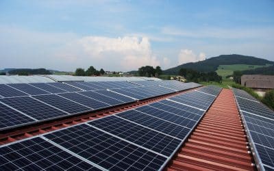 ¿Cómo están formados los paneles solares?