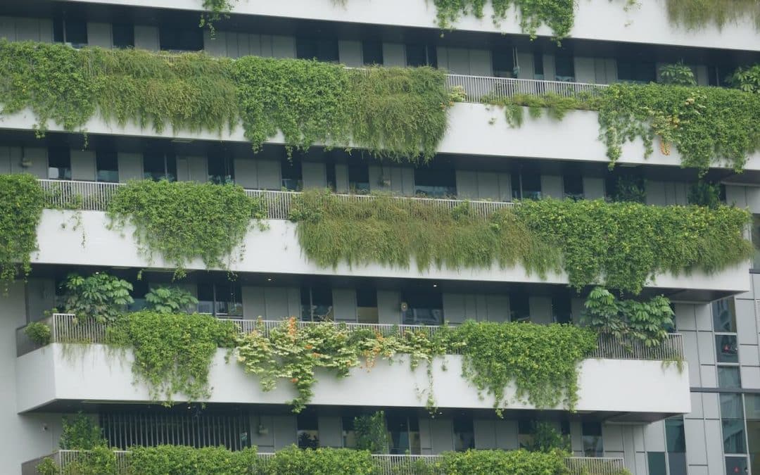 fachadas verticales verdes